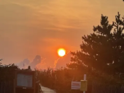 Dewey Beach Bliss Hotels in Dewey Beach