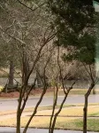 The Creek House ~Gorgeous upscale 3/BR 3/Bath home in historic district