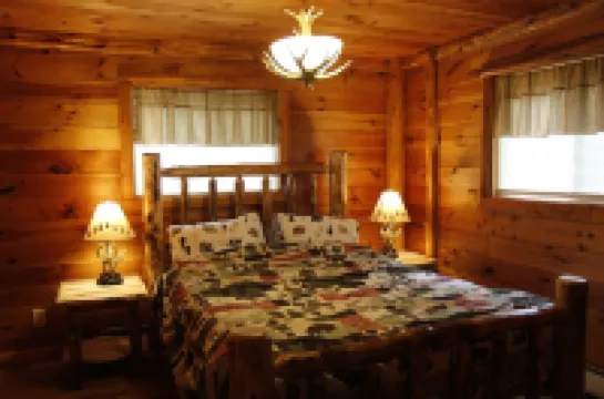 Unique Rustic Ski-Tree House - Game room, Hot tub & Sauna