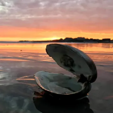 Guest Suite with Bedroom, Living Room, Dining Area, Full Bath,Off Street Parking