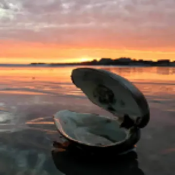 Guest Suite with Bedroom, Living Room, Dining Area, Full Bath,Off Street Parking