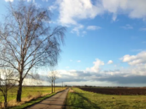 Vacation room Apfelbaum at the Hollerhof-Oderbruch