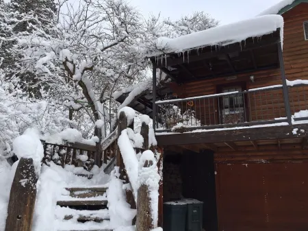 Hummingbird Hill Resort: Hot Tub, Atv/Utv Access, Trails, Pets & Kids Love It!