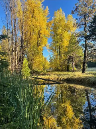 Mountain Meadow View Retreat Отели рядом с достопримечательностью «Arnold Rim Trailhead»