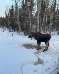 Skilak Ridge Retreat - Kenai Peninsula Basecamp