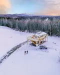 Insanely romantic treehouse perched next to a stream and rolling hills.