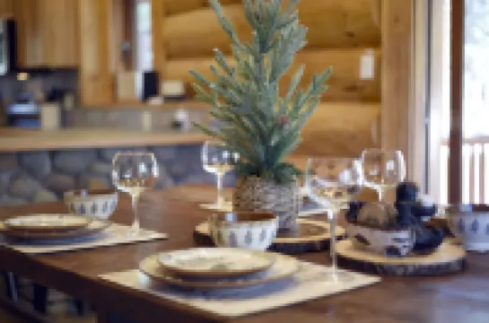 Luxury Log Cabin with Mountain Views on 2.5 Acres