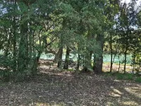 Welcome to the beautiful gateway of Jervis Bay.Where the bush meets the water. Hotel a Woollamia