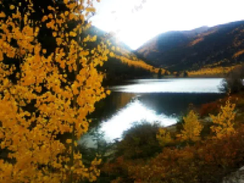 Grandma & Grandpa's House, Come Enjoy the Mountains   STR - 136