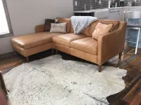 Just Horsin' Around!