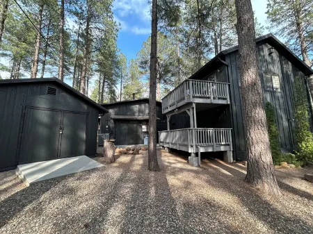 Bear Treehouse - 1.23 acres of cool pines and walking distance to fun! Отели рядом с достопримечательностью «Pinewood Trailhead»