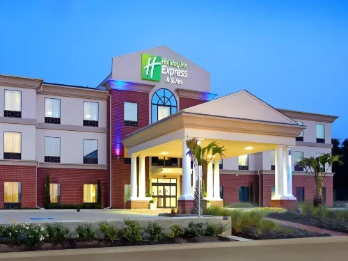 Holiday Inn Express & Suites HEARNE by IHG - 3-Star