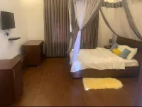 호텔 히비스커스  호텔