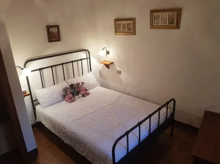 Cottage set in it's own woods near Lucca