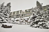 Totem, Friendly Hotel & Spa Hotels in Flaine
