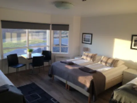 Guesthouse Carina Hotels in Vik