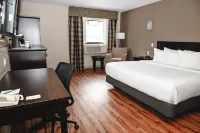 Quality Hotel & Conference Centre - Pet friendly