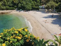 Apartments Maris Hotels in Plat
