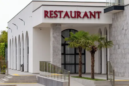 Chitulescu Hotel Отели в г. Шербеняса