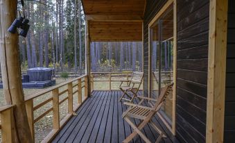 Metai Miške&a Year in the Forest