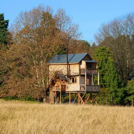 Sycamore Avenue Treehouses & Cottages Accommodation