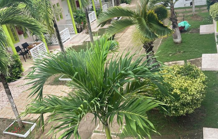 Fun Holiday Beach Resort