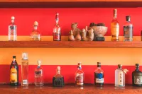 坦魯莎 SPA 度假飯店 - 酒吧