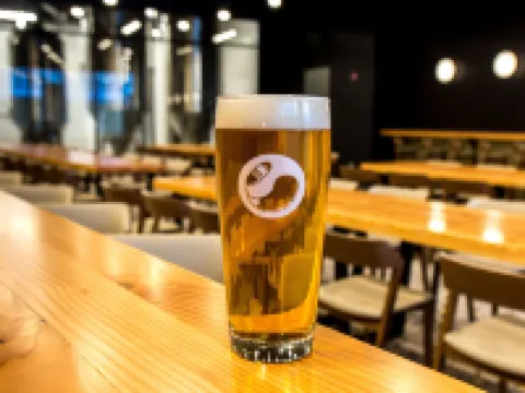 Hew & Draw Hotel Hotels in Corner Brook