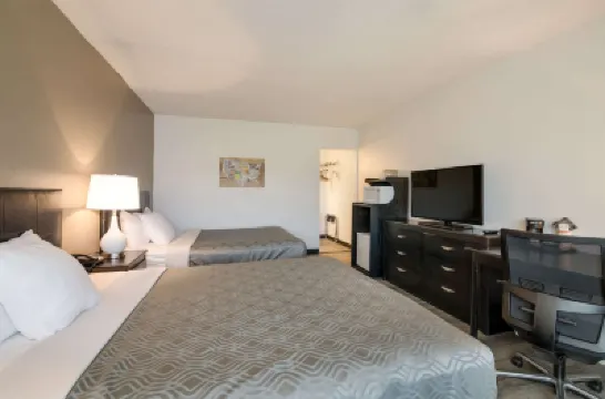 Econo Lodge Hotels in 
