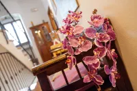 Affittacamere Valentina Hotels in Orvieto