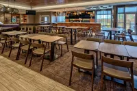 阿馬裡洛SpringHill Suites飯店 - 早餐