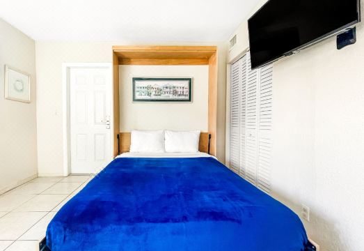 4. 더 스타피시..