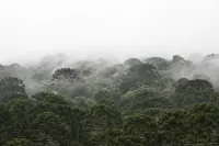 Vale Mandaçaia Hotels in Urubici