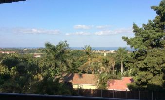 Palmwood Guesthouse