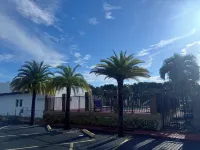 Econo Lodge Inn & Suites Hotels in Homestead