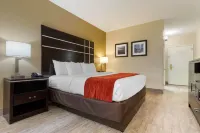 Comfort Inn North of Asheville Hotels in Marshall