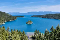 Tahoe Treetop Escape
