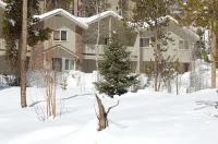 Spacious Open Floor Plan and Cozy Fireplace - Inviting Mountain Retreat