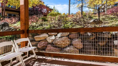 Cozy Gas Fireplace and Common Area Pool - Charming Mountain Getaway
