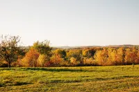 King Suite,Hot Tub,Pretty Hilltop View, Hotels in Wayne Township
