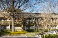 Tall Trees Ainslie Motel