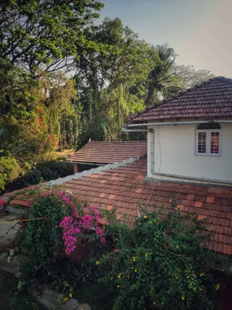 The Thota Mane by Evaddo