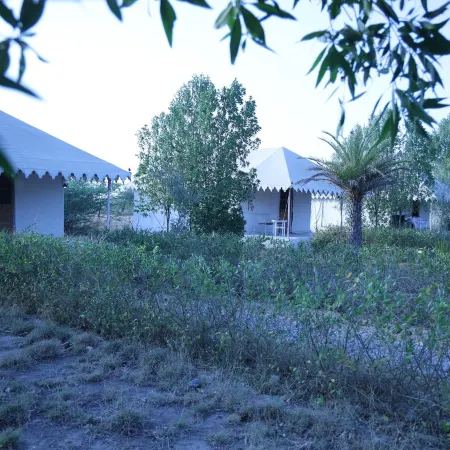 Jawai Bera Leopard Camp