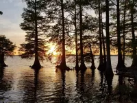 The Hut II on Reelfoot Lake