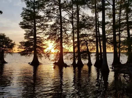 The Hut II on Reelfoot Lake