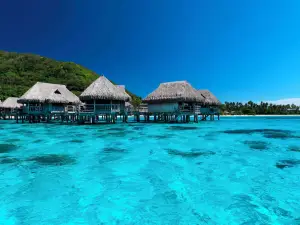 Migliori 10 Alberghi Vista Panoramica a Windward Islands