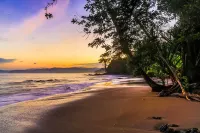 Copa De Arbol Beach & Rainforest Resort - Beach