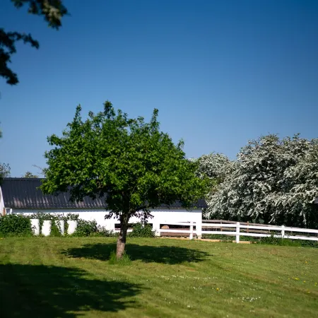 Den Gamle Grænsekro Inn