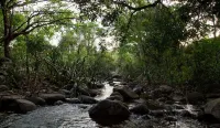 Tropicalfolks Campers Lodge Hotels in Balangoda