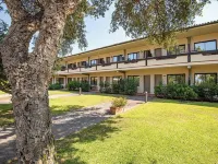 Hotel Airone Isola d'Elba Hotels in Elba Island